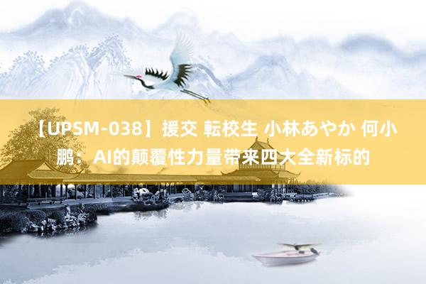 【UPSM-038】援交 転校生 小林あやか 何小鹏：AI的颠覆性力量带来四大全新标的