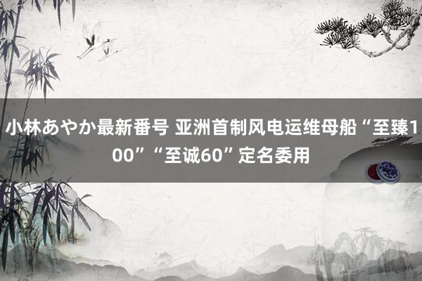 小林あやか最新番号 亚洲首制风电运维母船“至臻100”“至诚60”定名委用