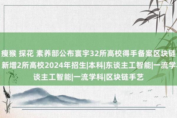 瘦猴 探花 素养部公布寰宇32所高校得手备案区块链工程专科名单 新增2所高校2024年招生|本科|东谈主工智能|一流学科|区块链手艺