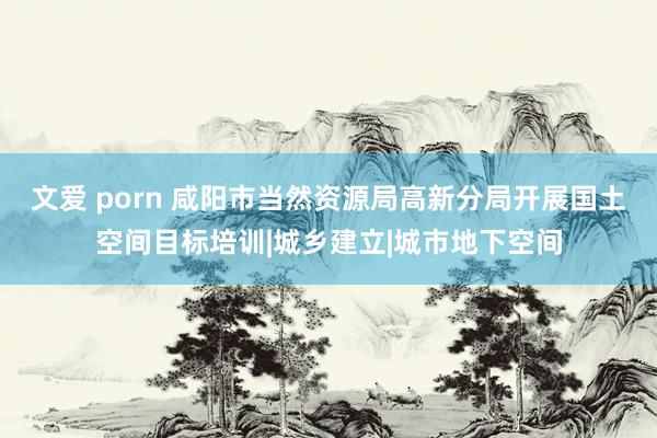 文爱 porn 咸阳市当然资源局高新分局开展国土空间目标培训|城乡建立|城市地下空间