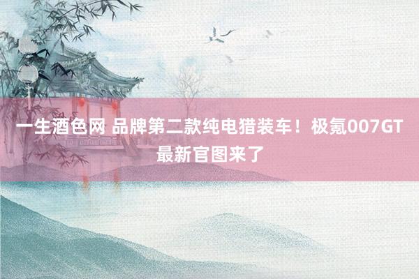 一生酒色网 品牌第二款纯电猎装车！极氪007GT最新官图来了