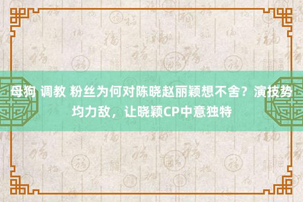 母狗 调教 粉丝为何对陈晓赵丽颖想不舍？演技势均力敌，让晓颖CP中意独特