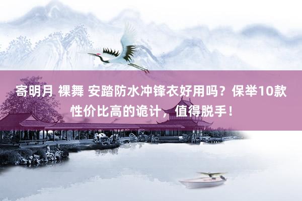 寄明月 裸舞 安踏防水冲锋衣好用吗？保举10款性价比高的诡计，值得脱手！