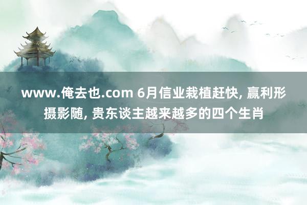 www.俺去也.com 6月信业栽植赶快， 赢利形摄影随， 贵东谈主越来越多的四个生肖